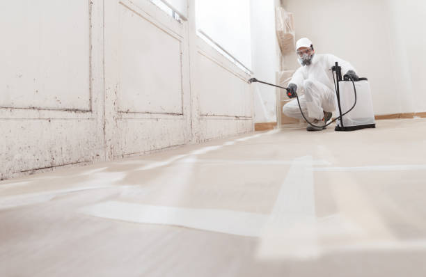 24/7 Emergency Mold Removal experts in Little Silver, NJ